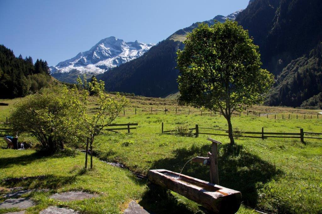Neuhaushof Apartment Hollersbach im Pinzgau Luaran gambar