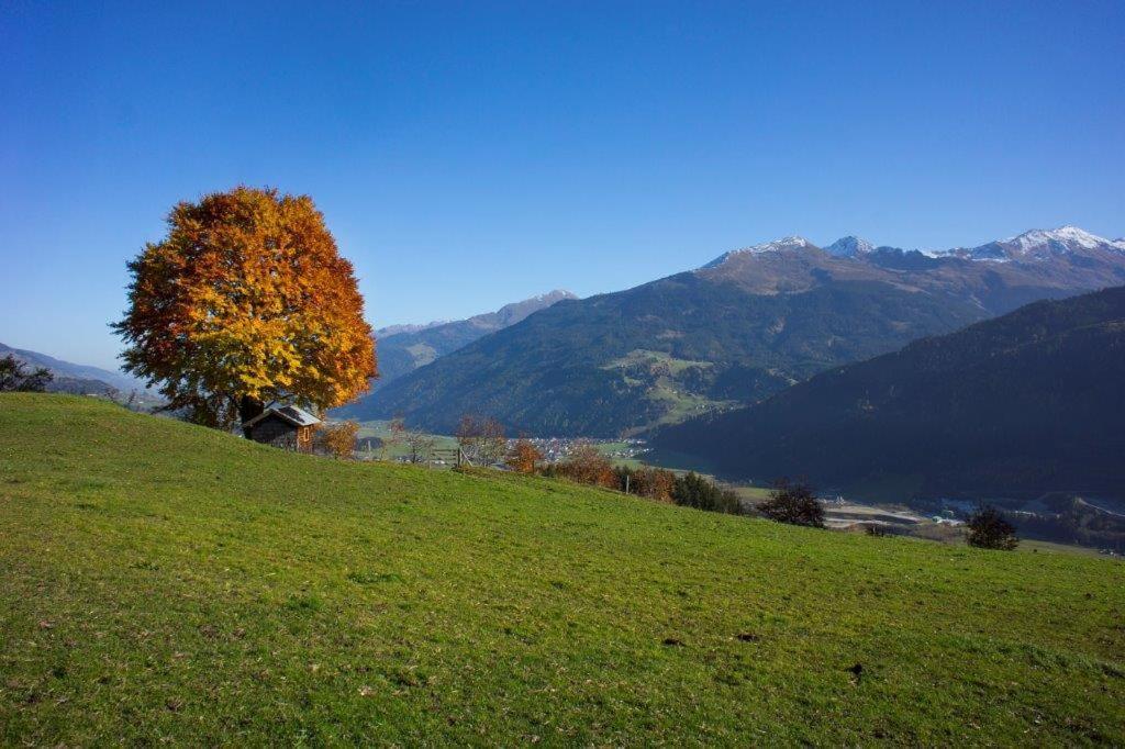 Neuhaushof Apartment Hollersbach im Pinzgau Luaran gambar